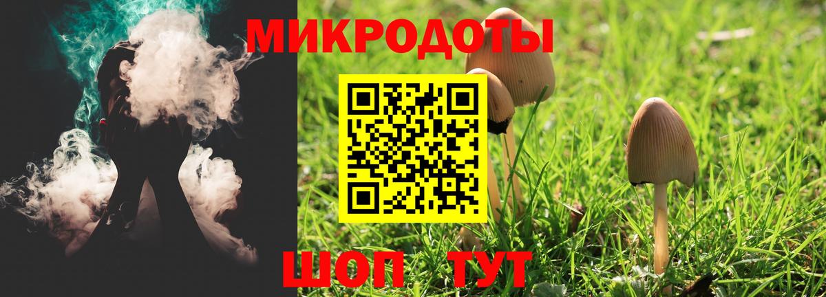 Зеленогорск  Галлюциногенные грибы GOLDEN TEACHER  Вход с VPN 